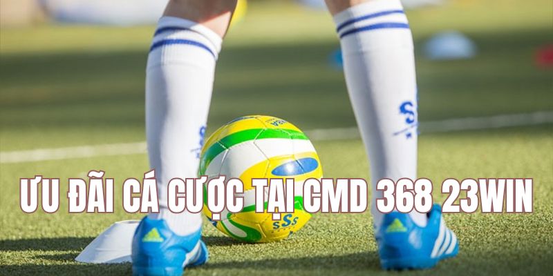 CMD 368 23win đưa ra ưu đãi đỉnh cao cho cược thủ