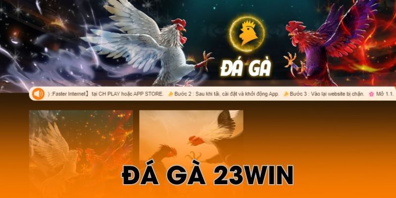 Bí quyết chơi Đá Gà 23Win